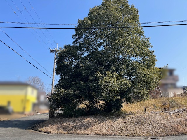 🟧売土地🟧【小野市万勝寺町▶️現況更地✨建築条件無し🎵】